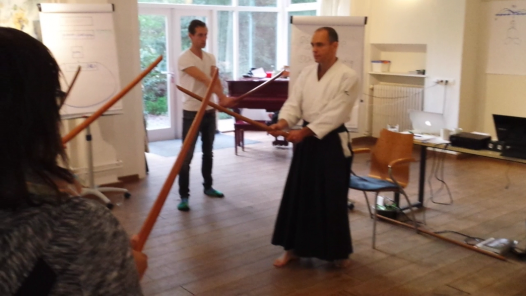 aikido bedrijfstraining